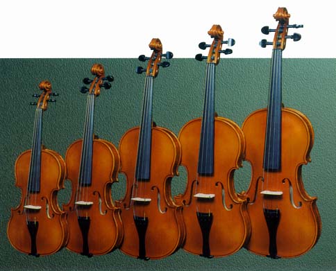Strunal Web Site