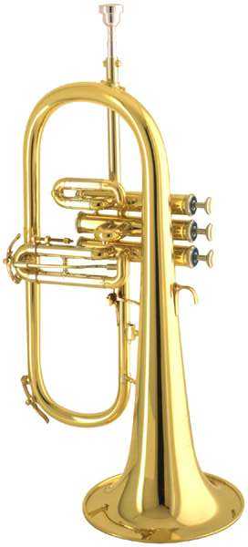 Trumpets / Flugel Horns