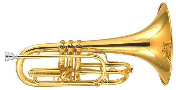 Amati AMP 204 Large