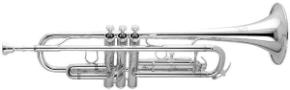 ATR 213Silver Large